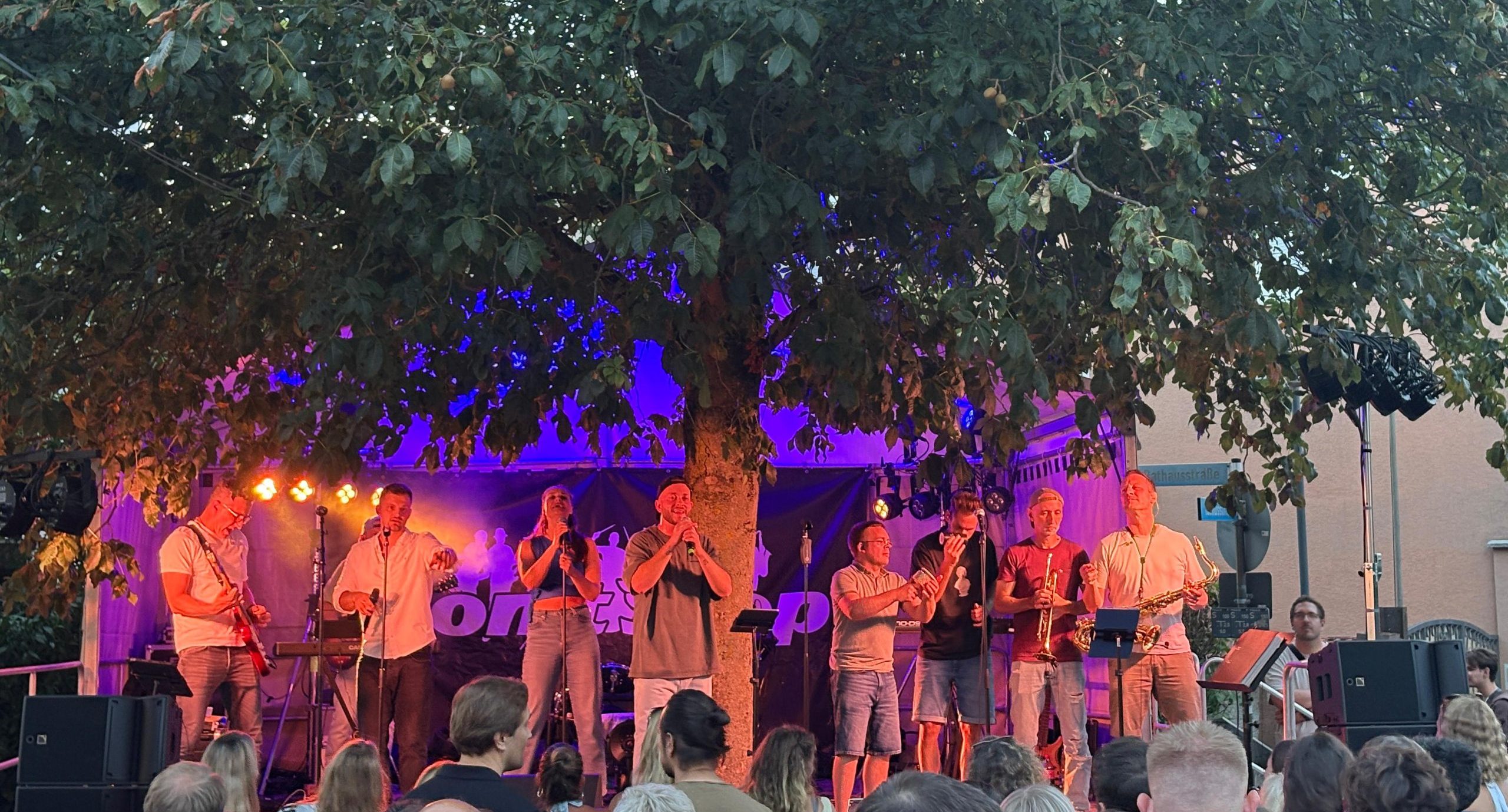Konzert Open Air L-Acoustics Outdoor-Event Hessen